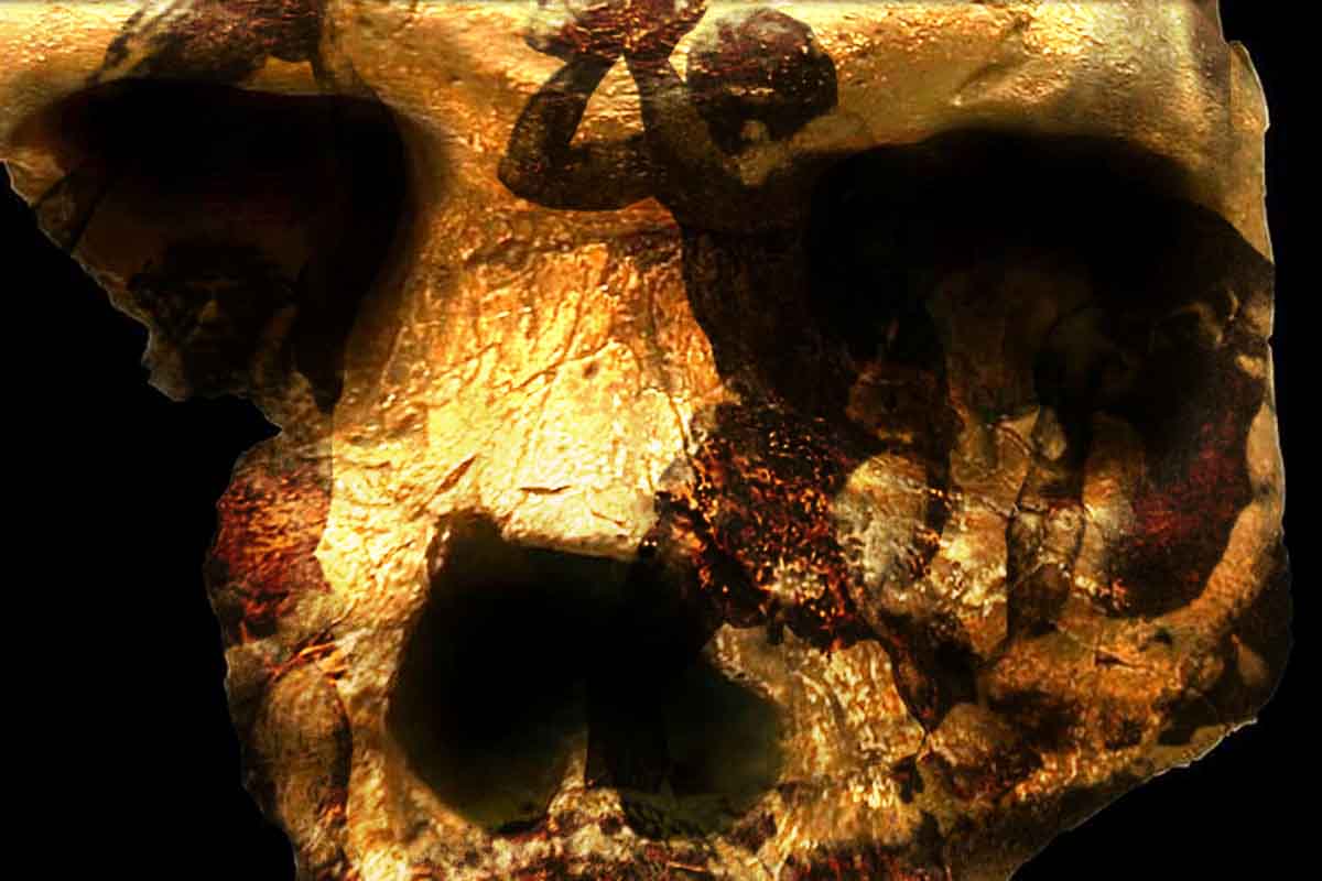 Lebka nášho predka rozvírila evolučnú históriu človeka