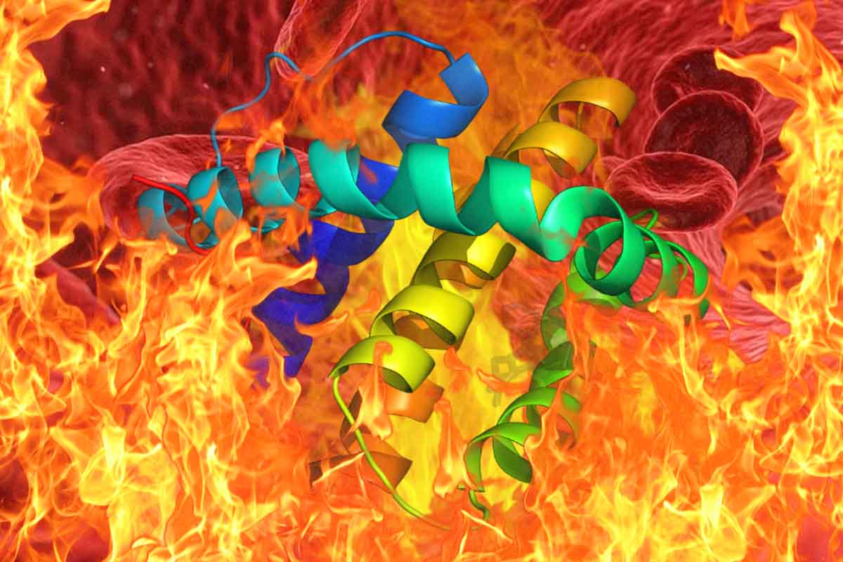 Tento proteín ovplyvňuje činnoť imunitného systému inak, než sa predpokladalo