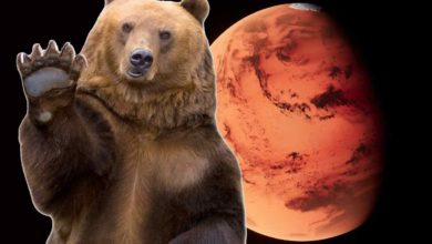 Mars struktura ktora pripomina medveda