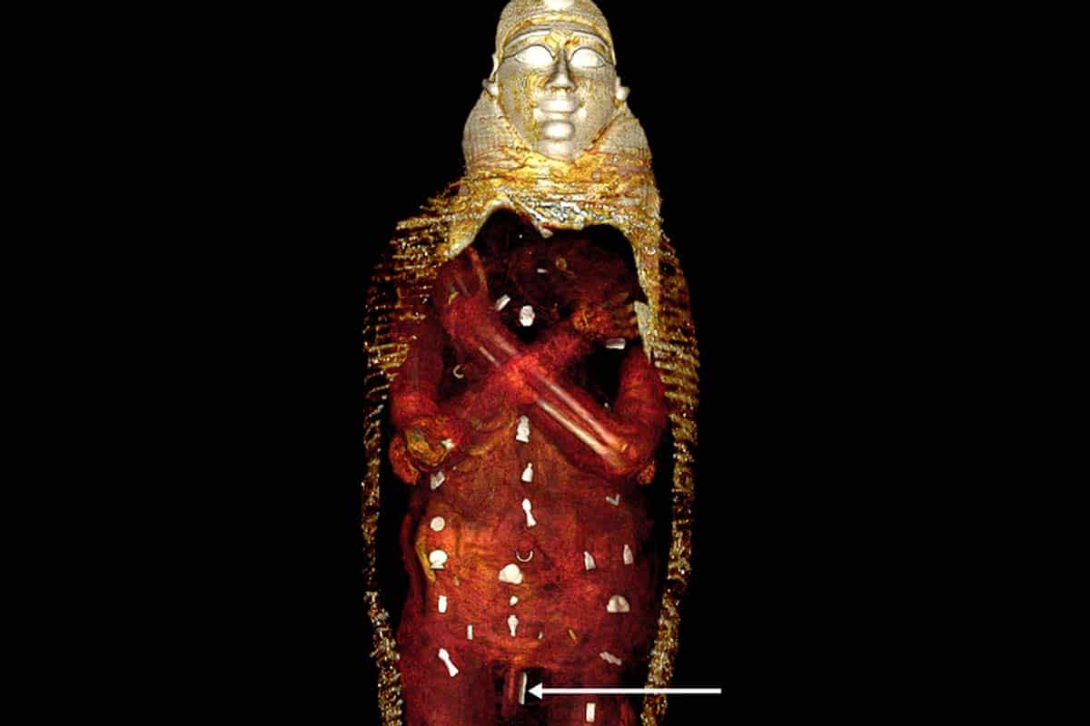 Vedci digitálne rozbalili múmiu zlatého chlapca