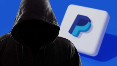 paypal hacker
