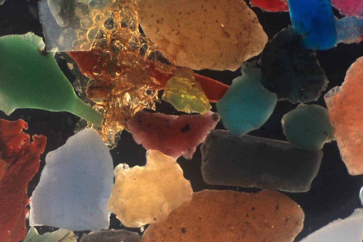 Baktéria nám pomáha zistiť, kam sa podel plastový odpad v oceánoch