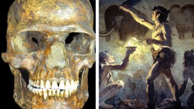 Ako vznikli Európania? Našu históriu popisuje najstaršia a najzachovalejšia lebka, objavená v Európe.