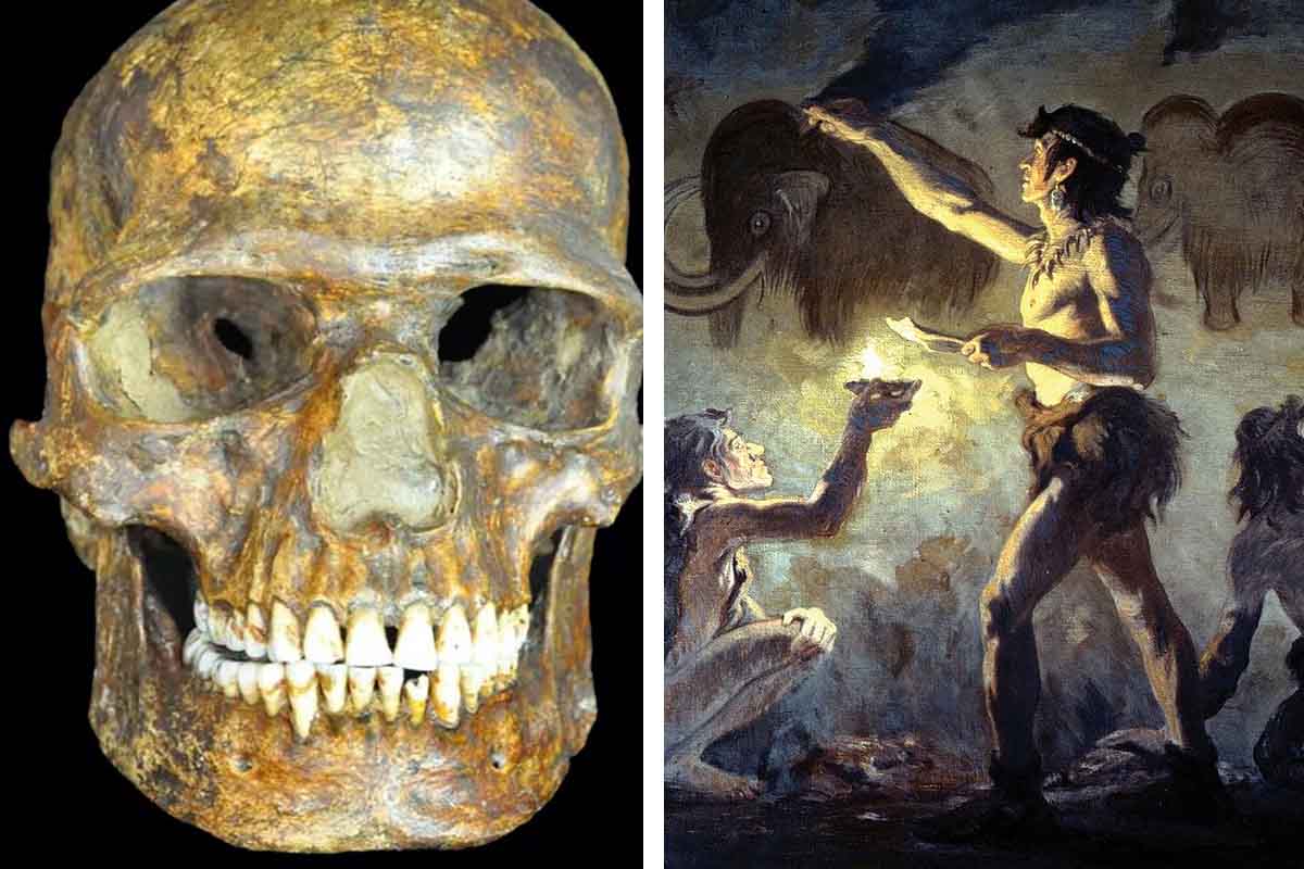Ako vznikli Európania? Našu históriu popisuje najstaršia a najzachovalejšia lebka, objavená v Európe.