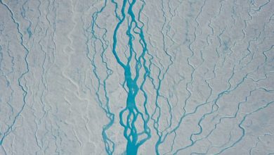 Globálne otepľovanie zasiahlo už aj centrálne Grónsko