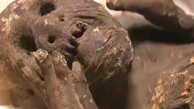 Našla sa v japonsku múmia Morskej panny?
