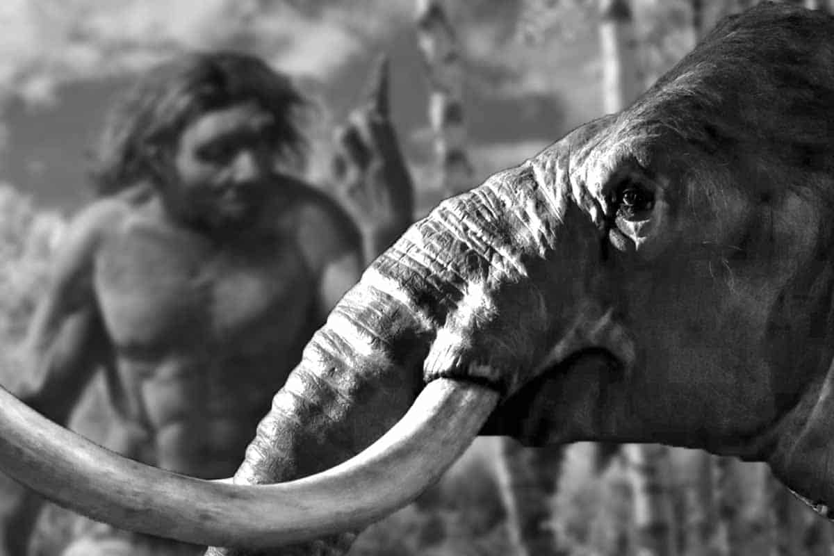 Ako Neandertálci lovili obrovské slony?
