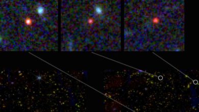Webb objavil galaxie, ktoré boli už na počiatku vesmíru rovnako komplexné, ako tá naša dnes.