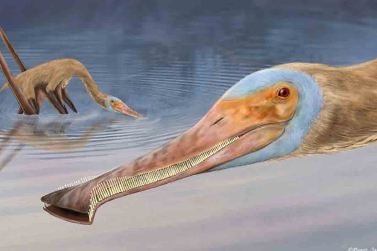 Výskumníci objavili fosíliu pterosaura s hákmi namiesto zubov
