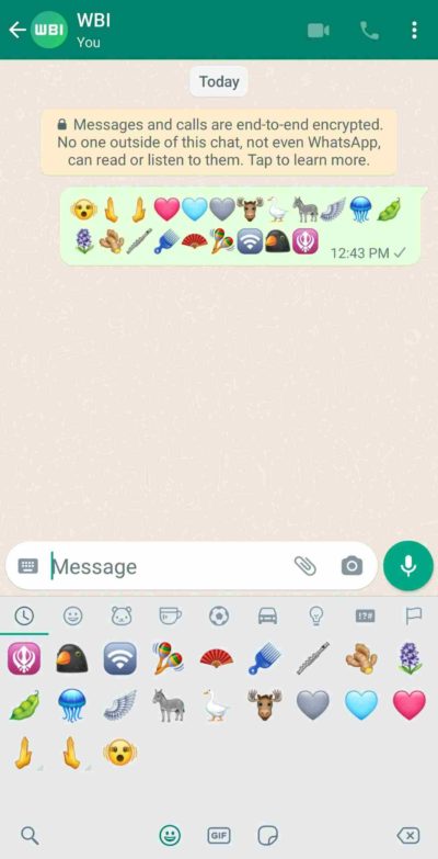 Nove whatsApp emojies
