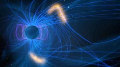 Magnetické pole Zeme sa vyznačuje anomáliami. Vedci prichádzajú na to, ako vznikajú