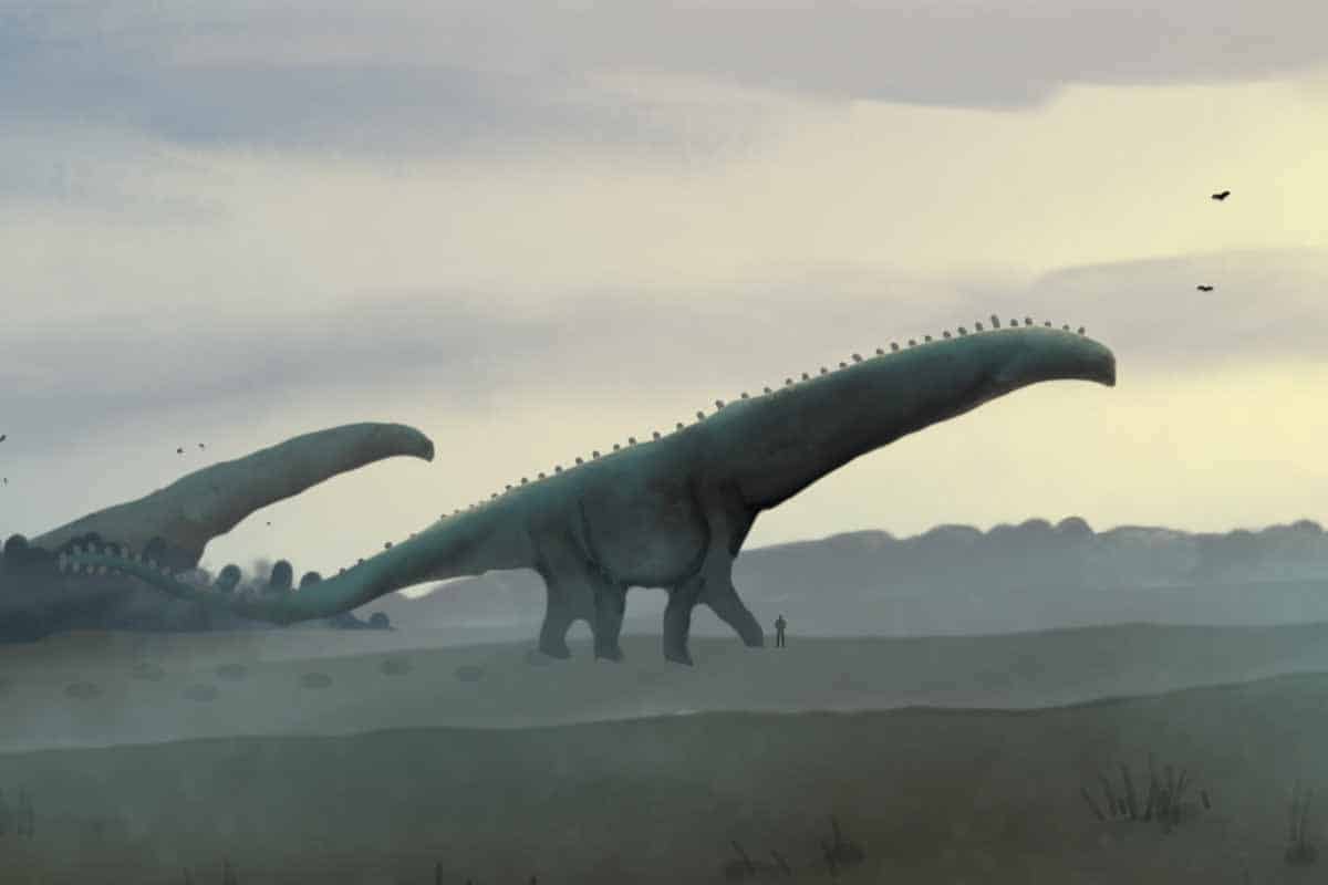 Aký druh bol najväčším dinosaurom na Zemi?