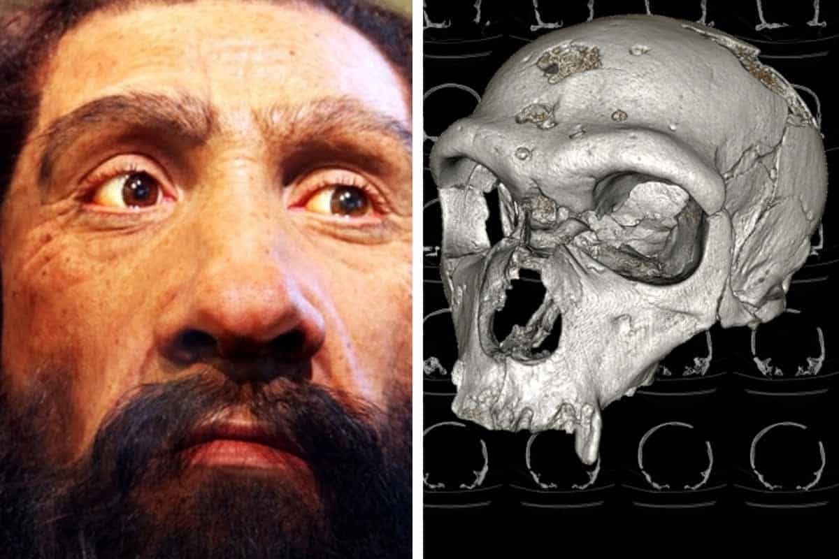 Neandertálci mali jednu vlastnosť, ktorou nás schovali do vrecka