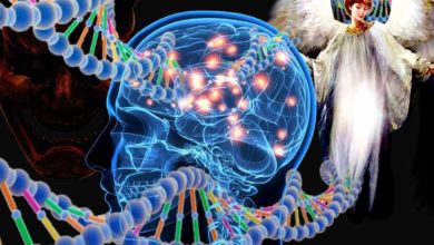 Vedci objavili tri gény, ktoré zvyšujú riziko vývoja schizofrénie
