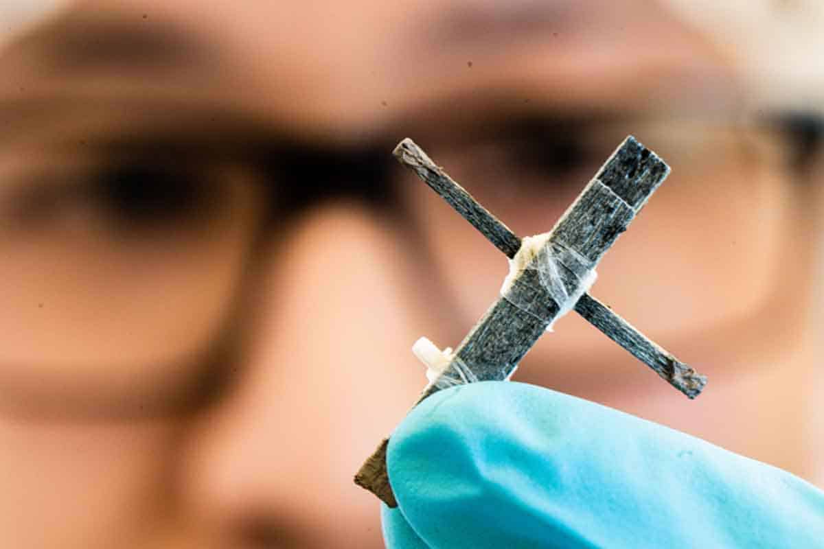 Výskumníci vytvorili prvý drevený tranzistor