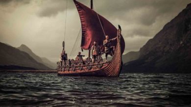 vikingovia