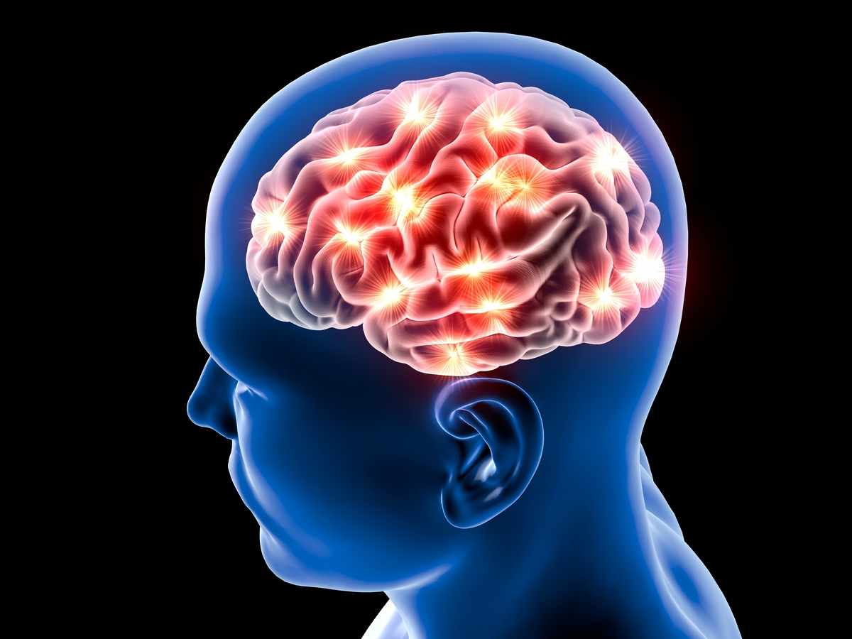 mozog cloveka