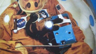 Systém PRE mal zachrániť život astronauta v prípade nehody vo vesmíre