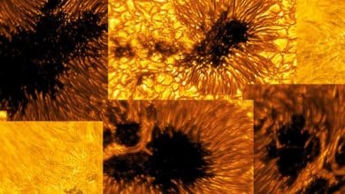 Pozrite sa na solárne škvrny v jedinečnej perspektíve