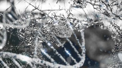 Čo sa stane ak spojíme DNA a Sklo?