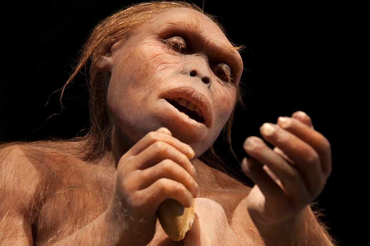 Australopithecus predok cloveka