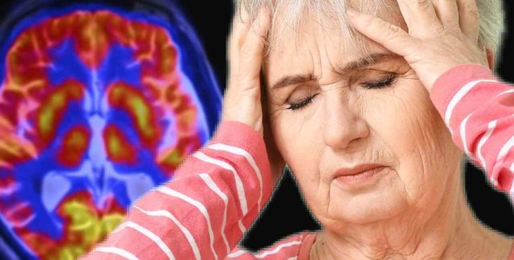 Vedci objavili mechanizmus, ktorý stojí za poklesom kognitívnych funkcií pri starnutí. Toto je dôvod, ktorý...