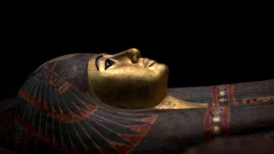 egypt faraon hrobka