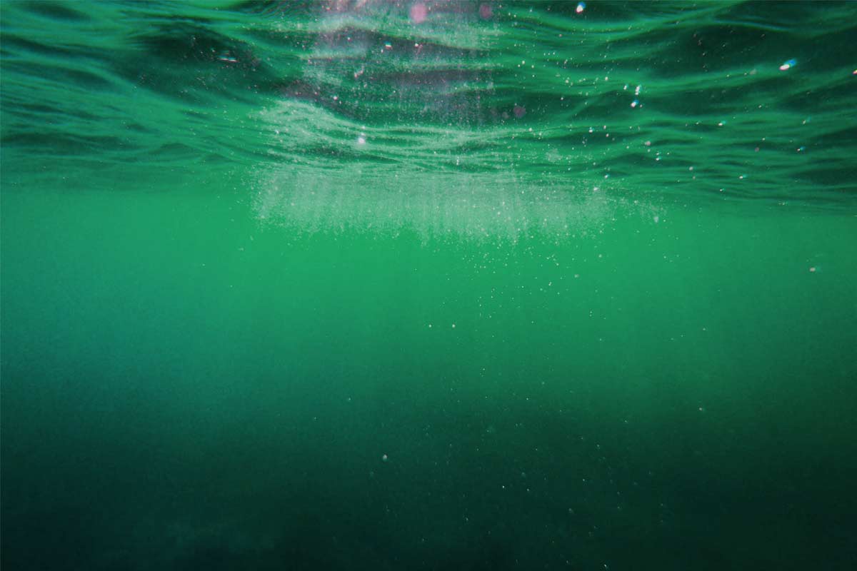 Oceány Zeme sa stávajú zelenšie varujú vedci