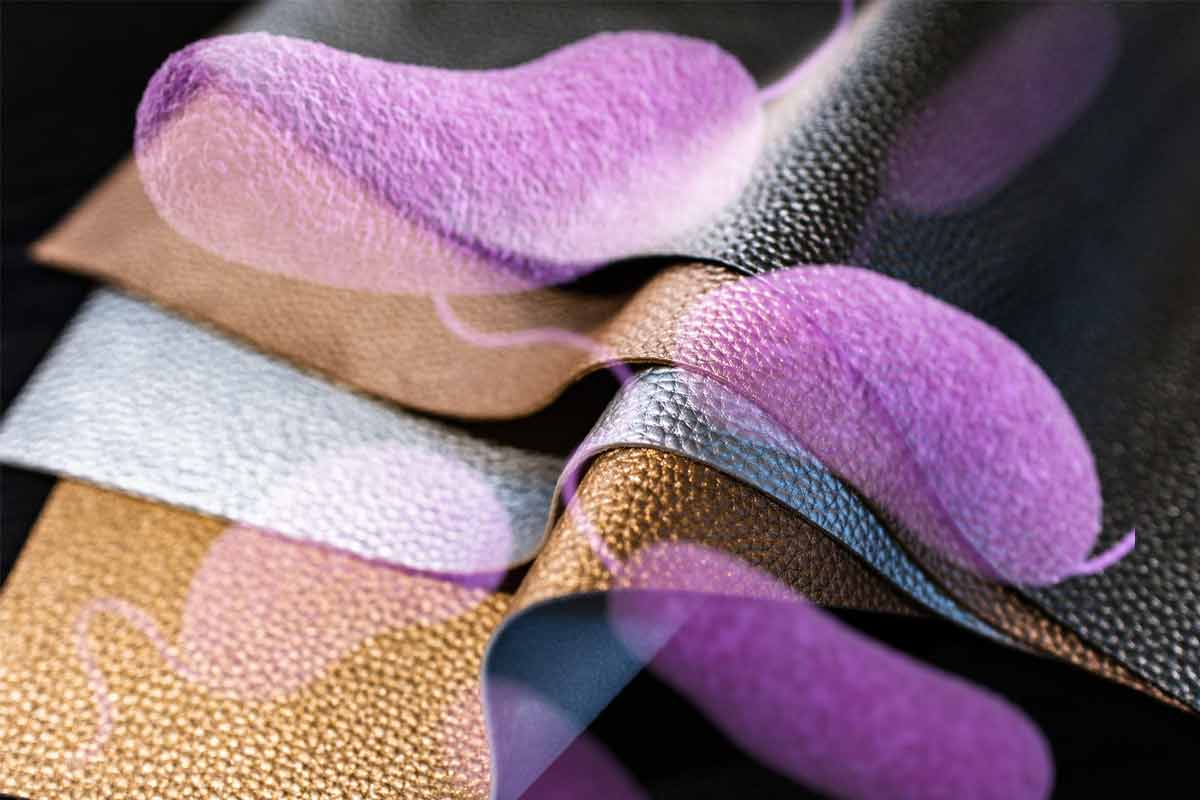 Vedci predstavili baktériou vyrobenú kožu, ktorá je šetrná k životnému prostrediu
