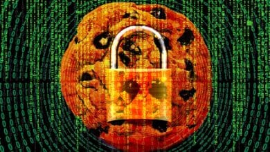Google pracuje na ochrane pred krádežou cookies súborov