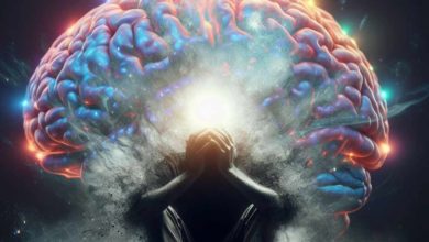 Vedci potvrdili, ako vzniká psychóza v mozgu