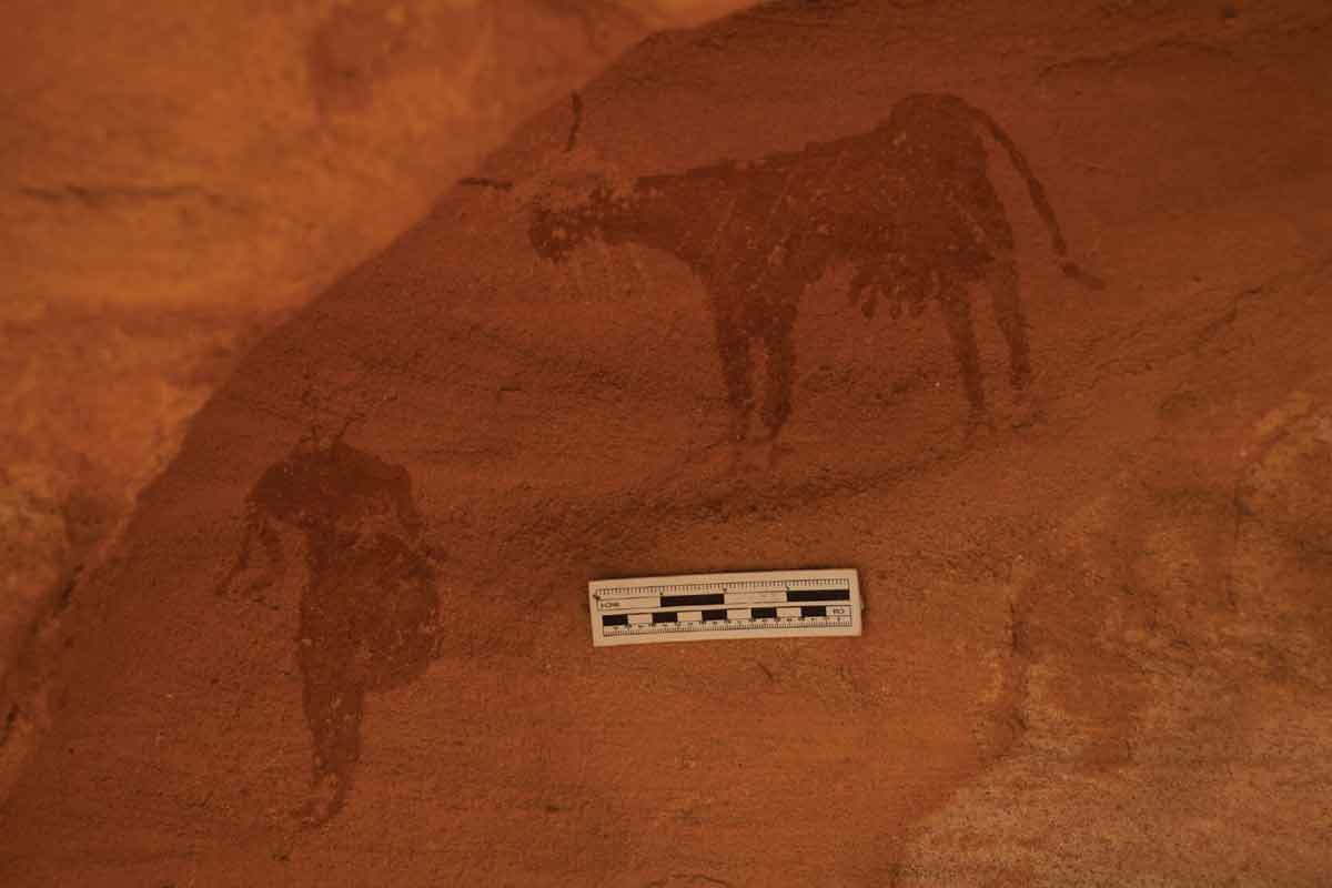 Archeológovia odhalili nástenné maľby, ktoré ukazujú život na Sahare