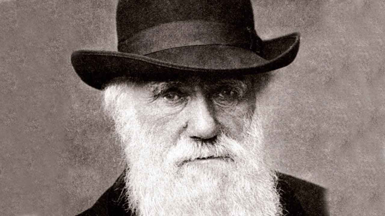 Darwin mal pravdu, no nie úplne. Biológovia oživujú teóriu, ktorú pred 200 rokmi zavrhli