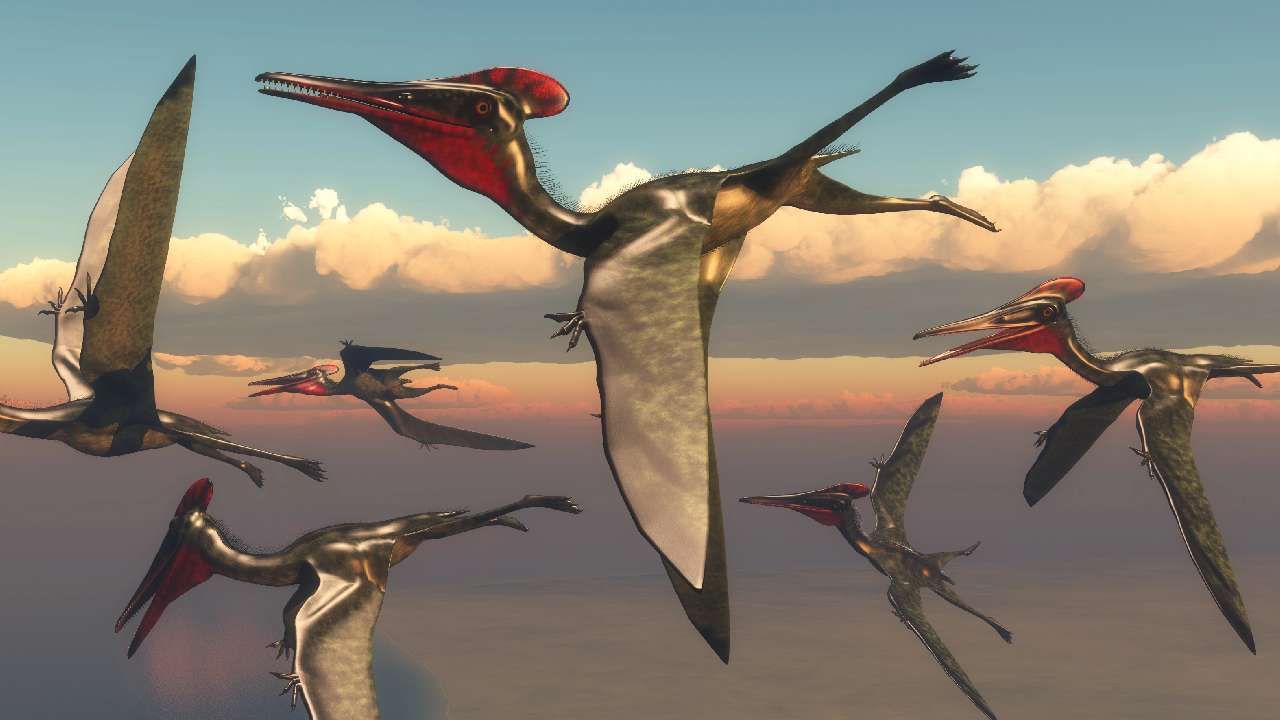 Rozklad ho mal zničiť. Krídlo pterosaura prežilo 113 miliónov rokov vďaka zvláštnej chemickej pasci