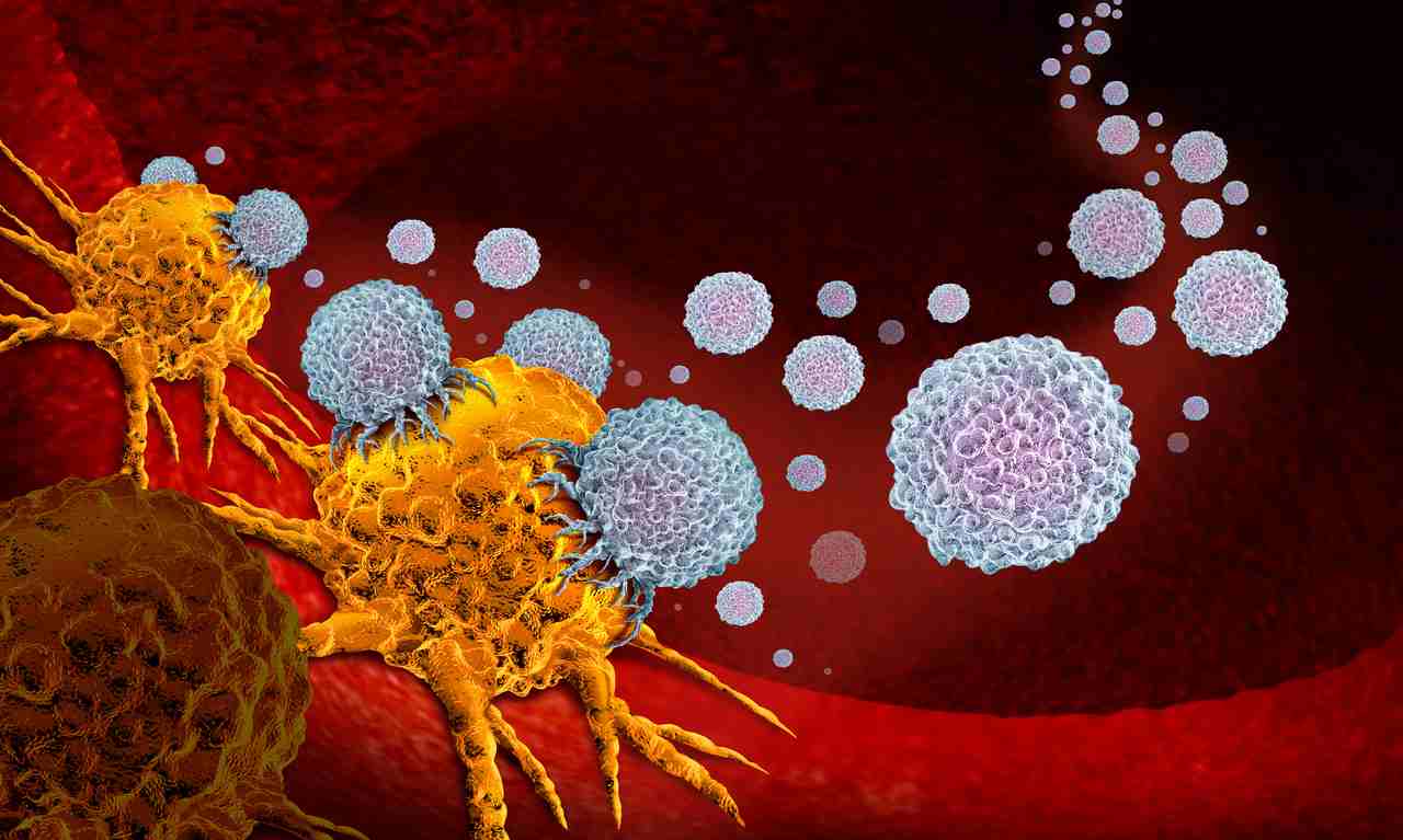 Vedci vyvinuli protilátku, ktorá zastavila rast nádoru aj metastázy. Účinkom sa priblížila chemoterapii