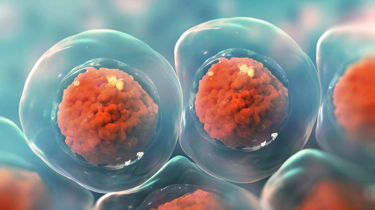 Vedci našli „brzdu“ proteínu spojeného s Parkinsonovou chorobou. Po prvý raz ukázali, čo blokuje jeho aktivitu